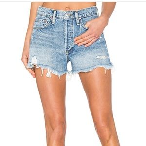 Agolde Parker Vintage Short in color Swampmeet